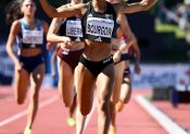Ces gens qui n’aident pas le sport sur les réseaux…